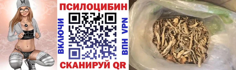Псилоцибиновые грибы Magic Shrooms  Купить где  Рузаевка 